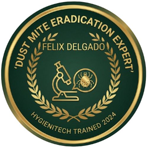 2020202020 removebg preview (2)